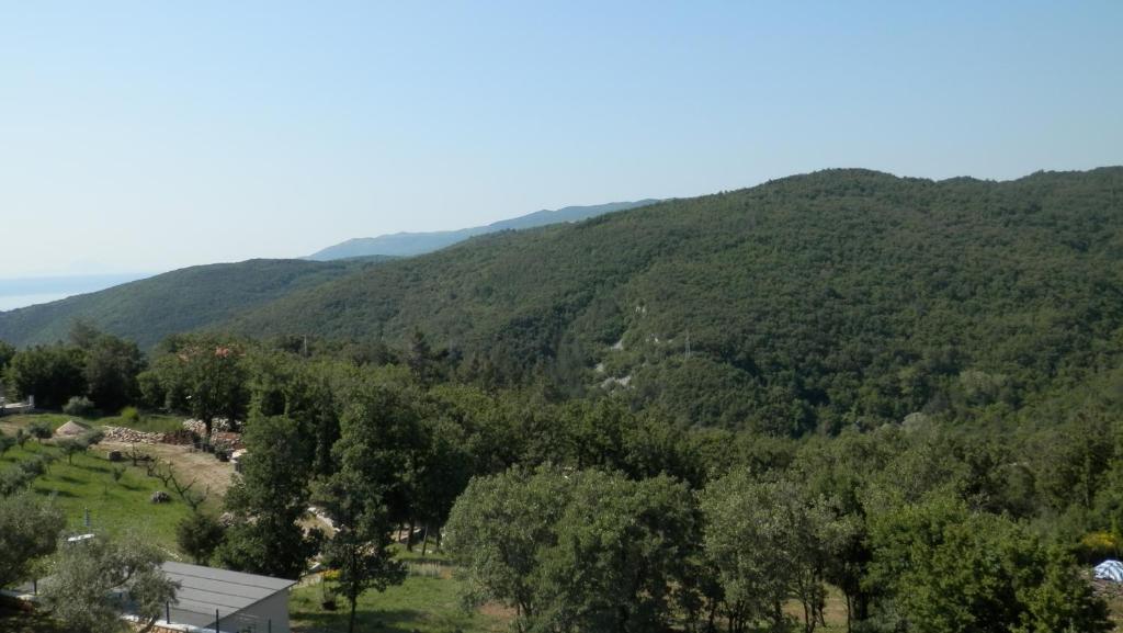 Apartments Villa Venera Labin  Room photo